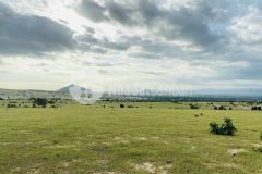 Đầu tư nhận vàng từ đất nông nghiệp bình thuận