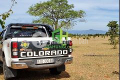 Bán lô đất 7021m2 xã hồng thái giá chỉ 90.000đm2, 2 mặt tiền đường ô tô vào tận nơi, lh0937251240