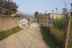 Bán đất cao phong hào bình dt 2000m2 full thổ cư