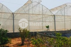 Cần bán lại lô đất 2 mặt tiền đường xã hồng thái huyện bắc bình, sổ hồng riêng