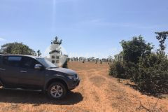 Bán đất ven biển bình thuận, đầu tư cơ hội sinh lời kép.