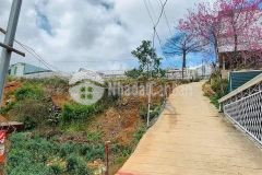 Cuối năm mở bán nhanh vài lô đất phân lô p11