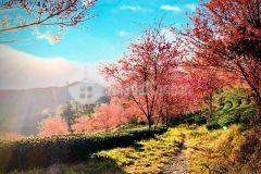 Hơn 520m2 đất nông nghiệp phường 7 chỉ 2,7 tỷ