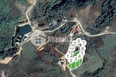 Siêu phẩm hoa hậu sa pa cần bán gấp