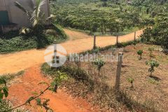 Ban nhanh 4,2 xao đât gia 1ty549tr