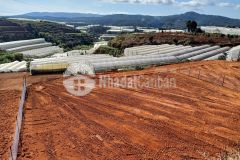 1062m2 sổ riêng đất nông nghiệp giá chỉ 2,4 triệum2