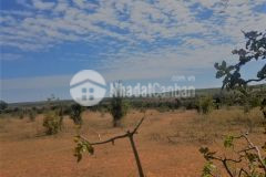 Cần bán 2 lô đất ở, hòa thắng, ven biển bình thuận, dt716