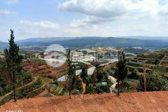 283m2 full xây dựng view rừng thông bạt ngàn giá tết hot