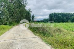 Bán đất suối tiên diên khánh, giá đầu tư, đường oto vivu, giá 900 nghìnm2