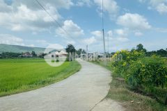 Bán đất diên thọ, gần đường lớn hương lộ 62, thích hợp nhà vườn phân lô