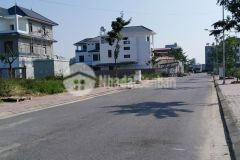 Bán lô tùng bách phượng mao gần bùng binh, giá 2.65 tỷ sổ cá nhân. lh 0388153811