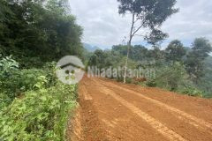 Chuyền nhượng 20 ha đất làm trang trại hoặc khu nghĩ dưỡng tại tỉnh hòa bình