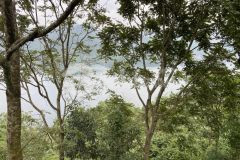 Chuyển nhượng 1.6 ha đất làm trang trại tại tỉnh hòa bình