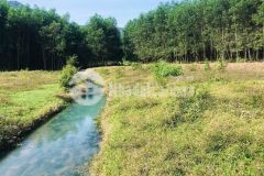 Gia đình muốn bán 8.000m2 có suối chảy gữa đất giá rẻ lh 0788.558.552