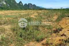 Chuyển nhượng 22ha đất dự án trại lợn đã được duyệt giấy phép 150.000 connăm giá chính chủ