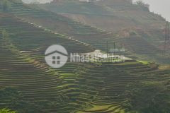 Đất view siêu đẹp phù hợp để kinh doanh, làm homestay