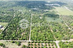 Bán lại mãnh vườn 1000m2 và 3000m2 hiện đàng trồng cây ăn trái.huyện thống nhất