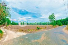 Bán gấp đất phước bình, long thành. 2117m2. shr, 300m2 thổ cư mặt tiền phước bình long thành