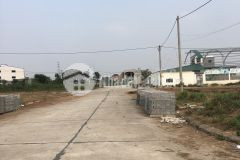 Bán nhanh 2 lô đất đình tổ, thuận thành 90m2, đường 13m, giá chỉ 13trm2. lh 0985109357.