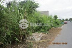 Đất mặt tiền đg 902 đối diện xưởng đóng tàu tp vinhlong