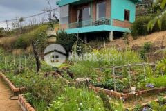 Bán đất tặng nhà gỗ đang kinh doanh homestay diện tích 1000m2 giá 4,5 tỷ