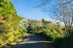 Chỉ 6trm có ngay đất xây dựng xuân trường đà lạt