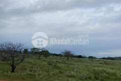 Bán 33,899m2 đất nông nghiệp hồng thái có đường liên huyện cắt ngang chỉ 130km2 lh 0938677909 hiền