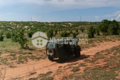 7 lô đất nông nghiệp hồng thái mặt tiền đường liên huyện giá cực ưu đãi lh 0938677909 hiền