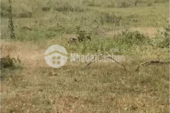 Chỉ 255 triệu có ngay lô đất vườn ven biển bình thuận, gần kdl safari rạng đông, liên hệ 0937251240