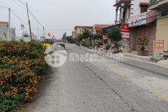 1.2x tỷ, bán nhanh lô đất khu đấu giá xã hoàng tây, 128m2 lh 0983.581.193