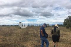 Bán lô đất nông nghiệp bình thuận, có sổ riêng cho từng lô