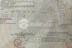 Bán nhà mặt tiền đường trần bình trọng,1 lầu, 1 st, chiều ngang trên 7m, khu đông đúc.