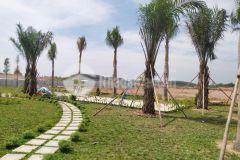 Bán đất nền liền kề khu công nghiệp