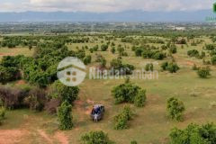 Cần bán đất vườn sổ đỏ bình thuận gần khu du lịch safari