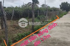 730m2 mặt tiền đê sông dinh phước mỹ