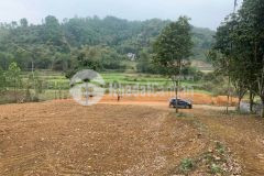 Bán đât lương sơn hòa bình với diện tich 8100m² có 200m² ont