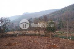 Bán đất y tý sa pa 2 vị trí đẹp giá tốt