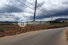 Gia đình có 6 lô đất mặt tiền đường nhựa cần bán chỉ 10trm2