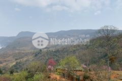 Một siêu phẩm y tý sa pa 2 ngay hôm nay