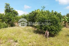 Đất khánh vĩnh, 9000m2, 900tr, đất đẹp, giá rẻ