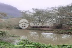 Bán đất cao dương lương sơn hòa bình dt6000m2 có 900 đất ở gối sơn đạp thủy.