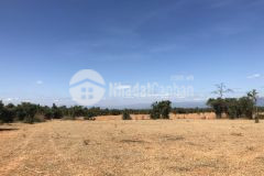 Bán lô đất có đường trên sổ chỉ 457 triệu 4807m2, gần ql, kênh nước