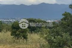 Bán lô đất mặt tiền đường liên huyện 9000m2 huyện bắc bình sổ hồng riêng