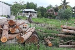 Tây ninhchính chủ nha, măt tiền kinh doanh 1228 336m2 chỉ 1.8 tỷ.