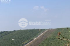 Đầu năm tích trữ cuối năm sinh lời, tặng ngay 1 vé đi spa cho khách đến tham quan lô đất