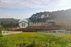 600 triệu nền đất biệt thự, tặng 3 chỉ vàng khi mua đất