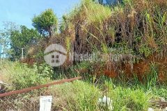 1586m2 đất lài phường 3 giá chỉ 22 triệum2