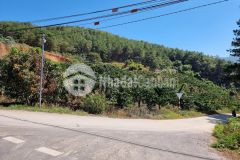 Lô đất lớn 2 mặt tiền đường cách ubnd xã tà nung khoảng 1km 9414m2