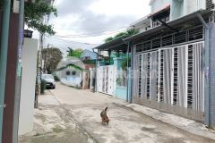 Bán đất xóm 4 ngọc anh 114m2 phú thượng