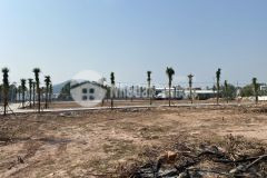 Mở bán siêu dự án mặt tiền đường tuyến tránh, vị trí đẹp cho các nhà đầu tư